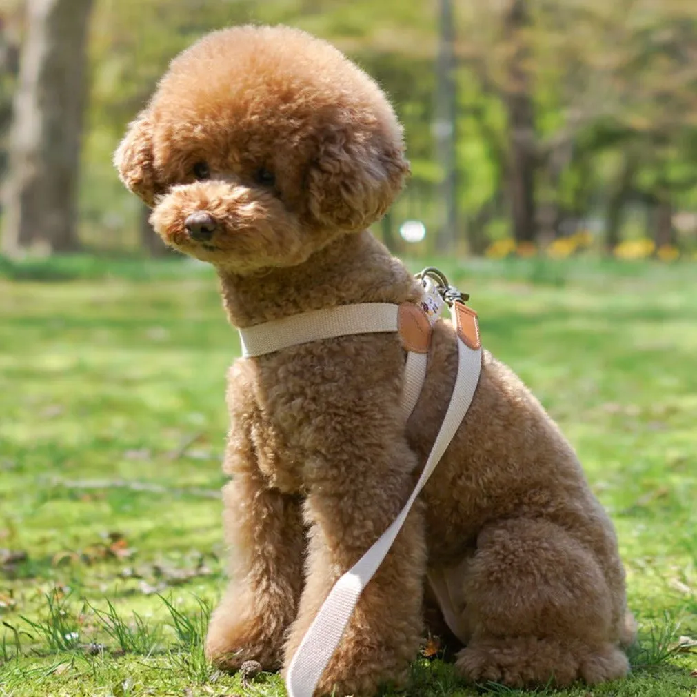 Adventure Leash Dunk
