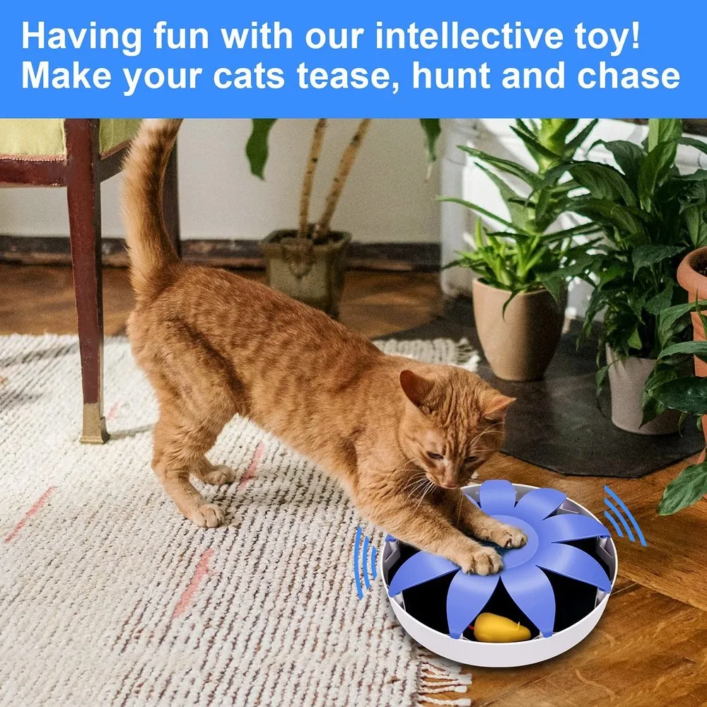 Automatic Electric Magnetic Spinning Cat Toys