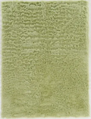 Benzara 5 X 3 Feet Transitional Faux Fur Rug with Suede Leather Backing, Green