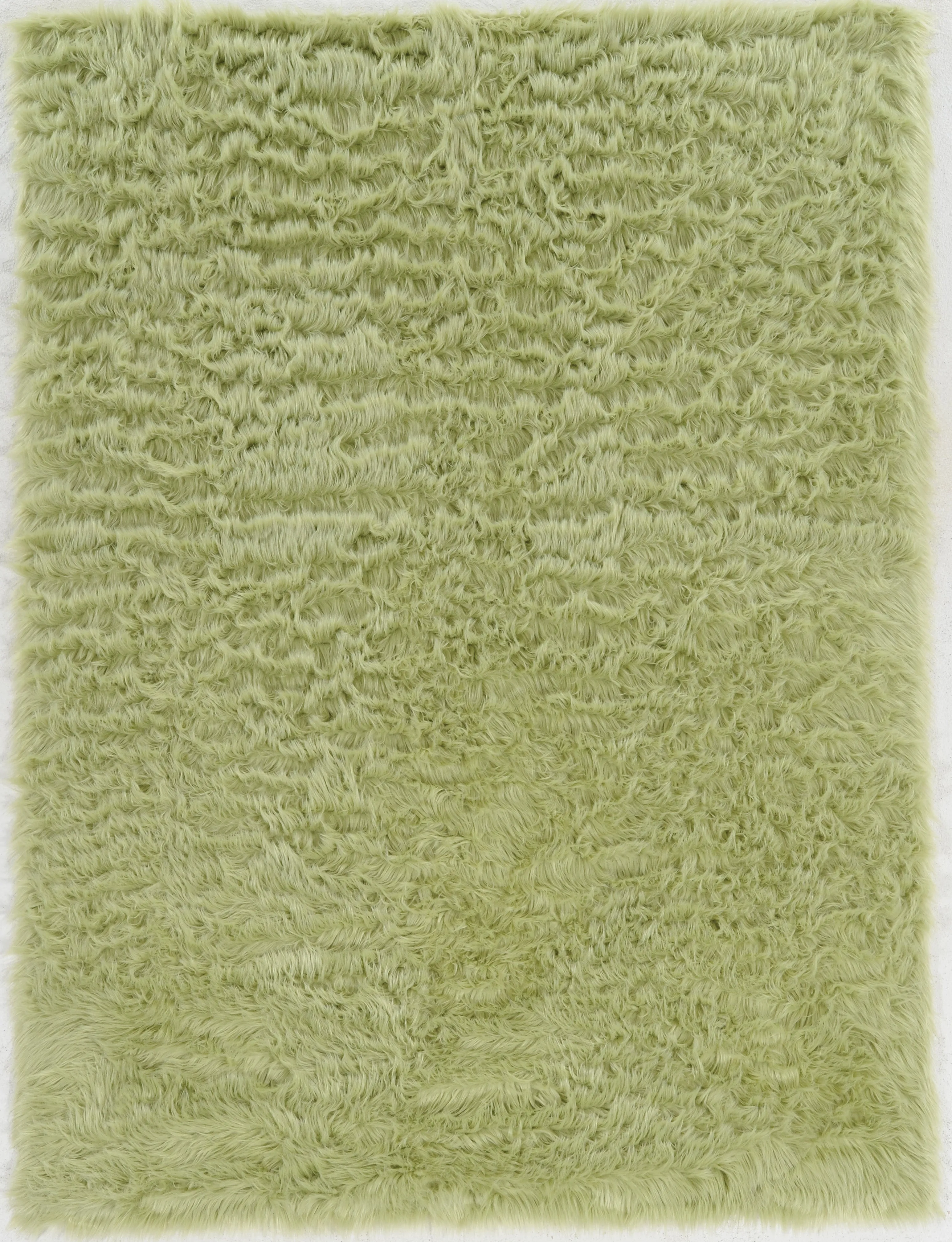Benzara 5 X 3 Feet Transitional Faux Fur Rug with Suede Leather Backing, Green