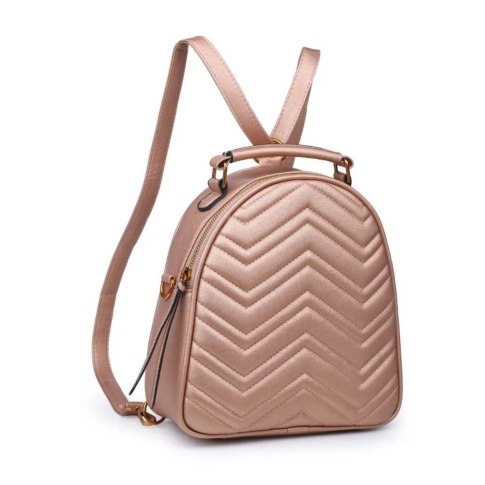 Cameron V Stitch Single Zip Backpack