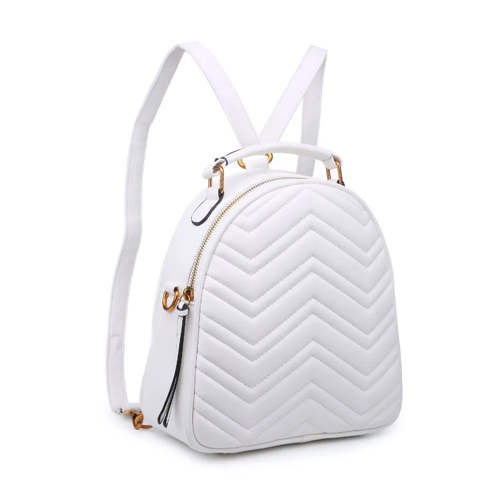 Cameron V Stitch Single Zip Backpack