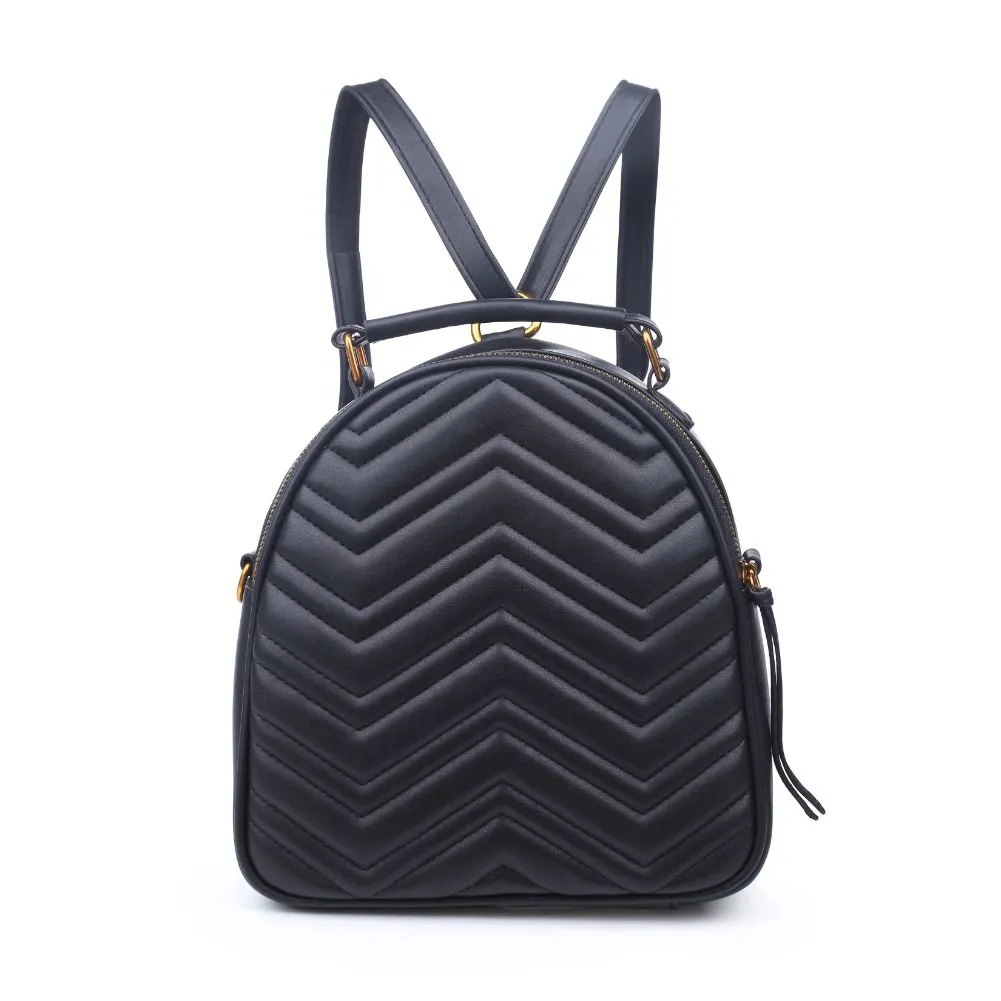 Cameron V Stitch Single Zip Backpack
