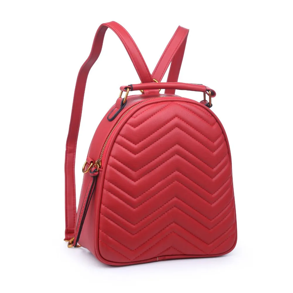 Cameron V Stitch Single Zip Backpack