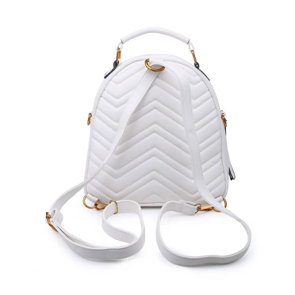 Cameron V Stitch Single Zip Backpack