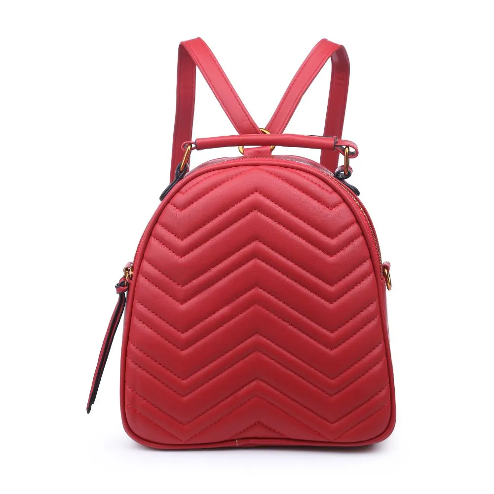 Cameron V Stitch Single Zip Backpack