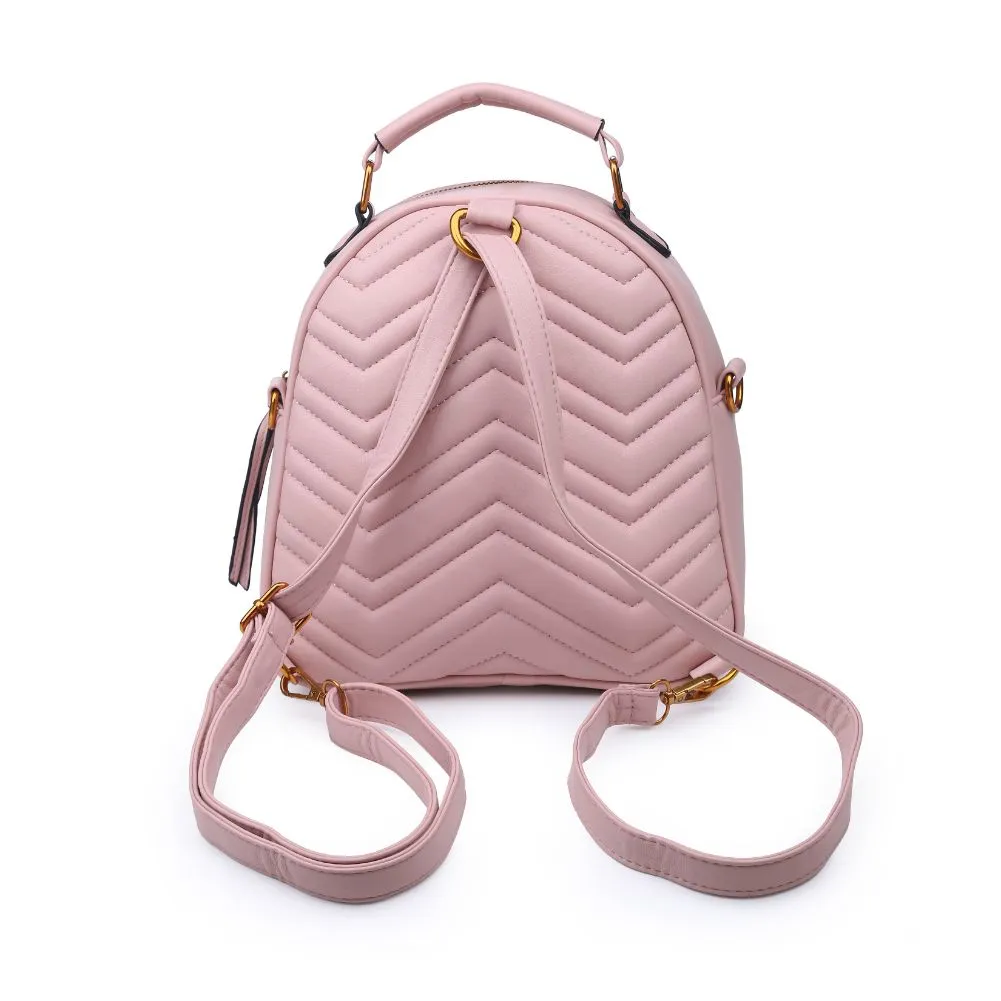 Cameron V Stitch Single Zip Backpack