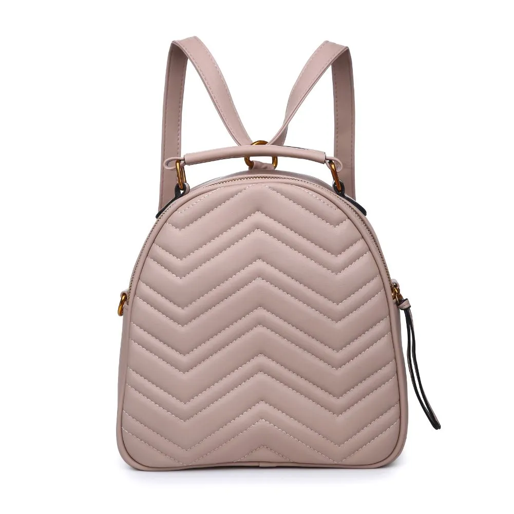 Cameron V Stitch Single Zip Backpack