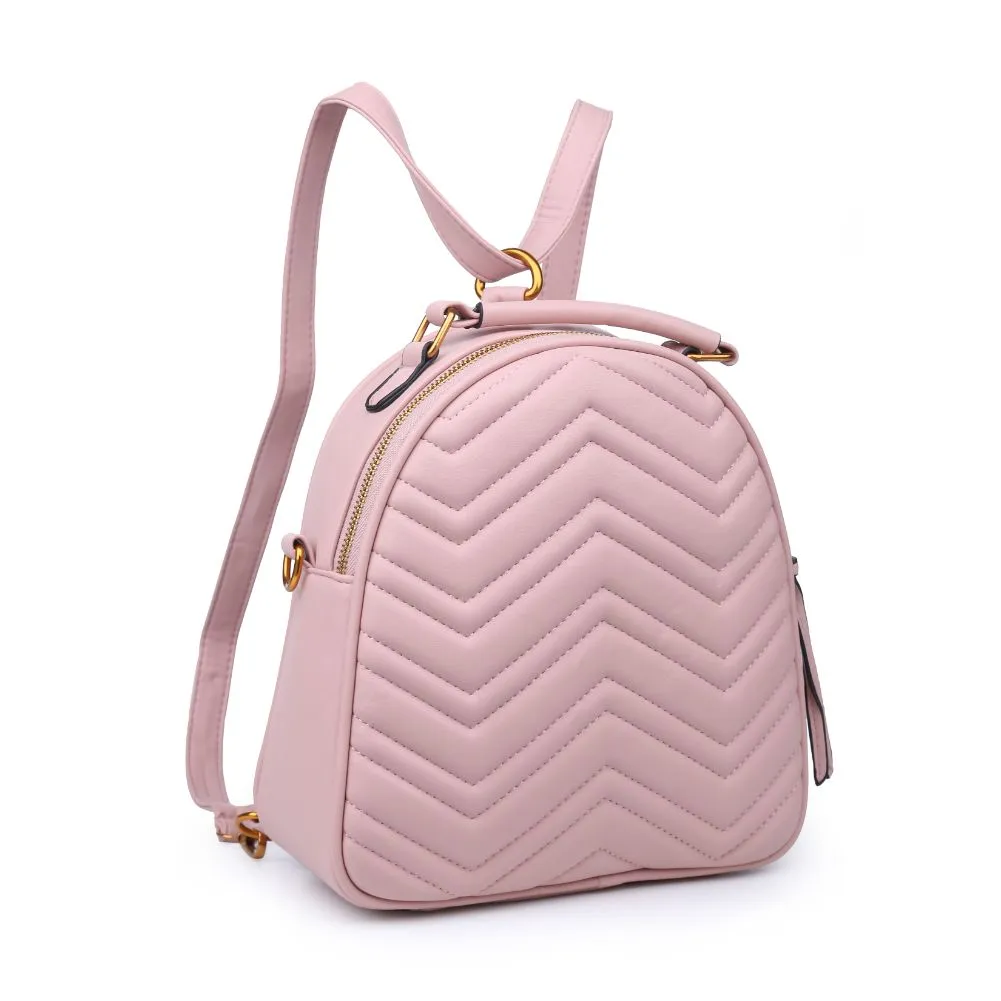 Cameron V Stitch Single Zip Backpack