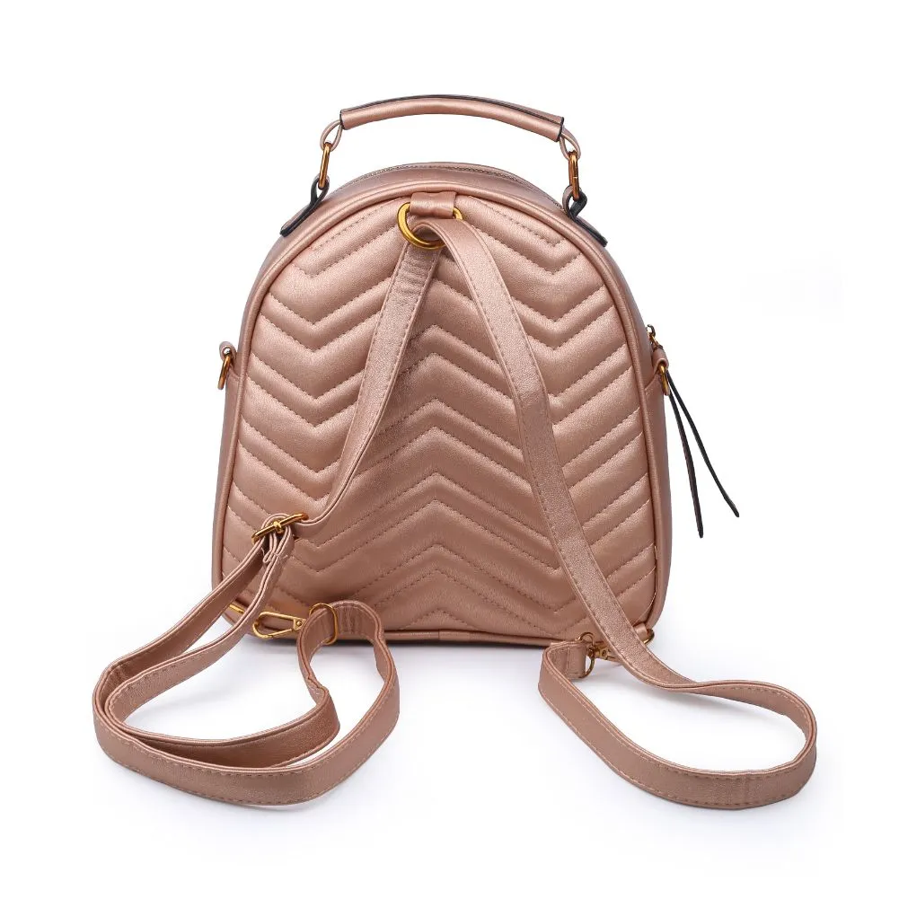 Cameron V Stitch Single Zip Backpack