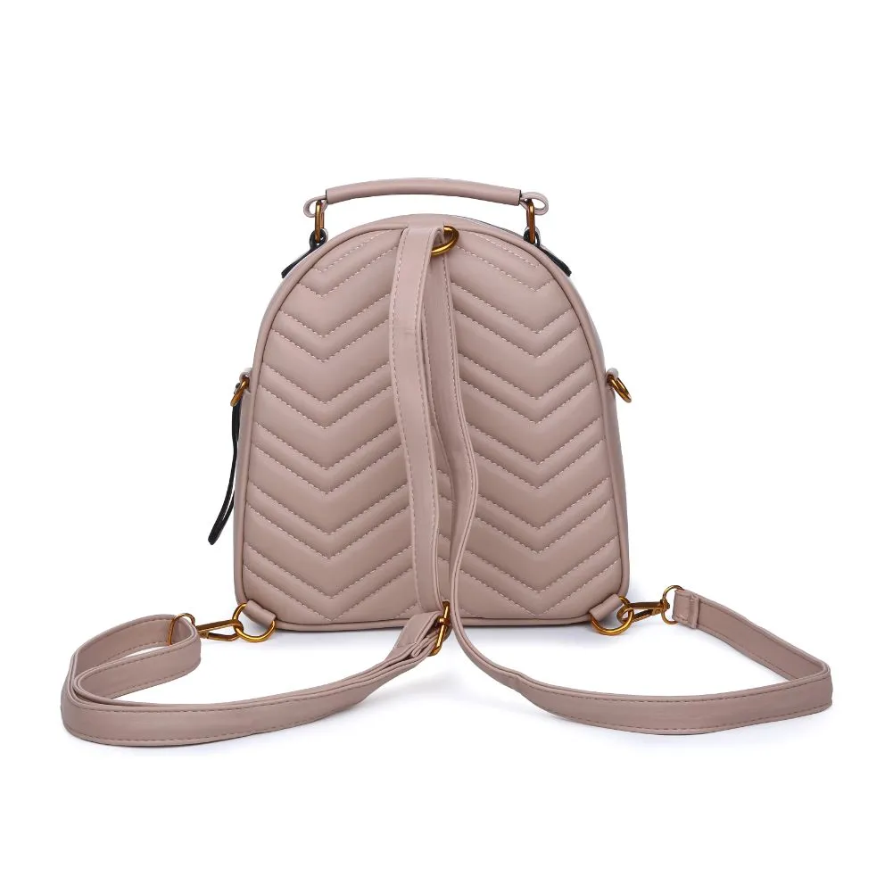 Cameron V Stitch Single Zip Backpack