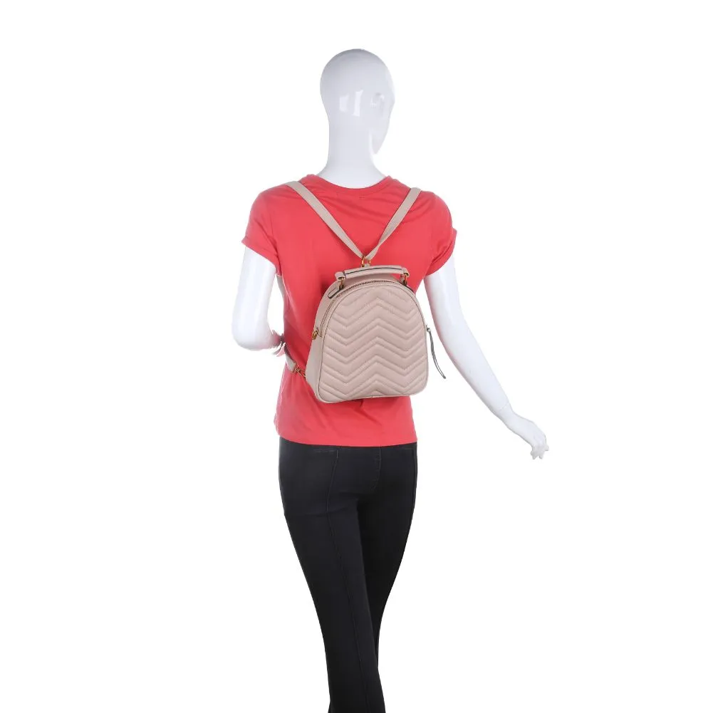 Cameron V Stitch Single Zip Backpack