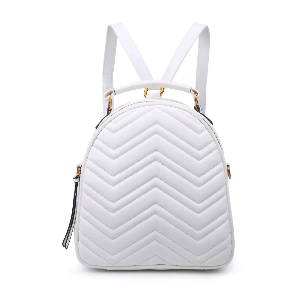 Cameron V Stitch Single Zip Backpack