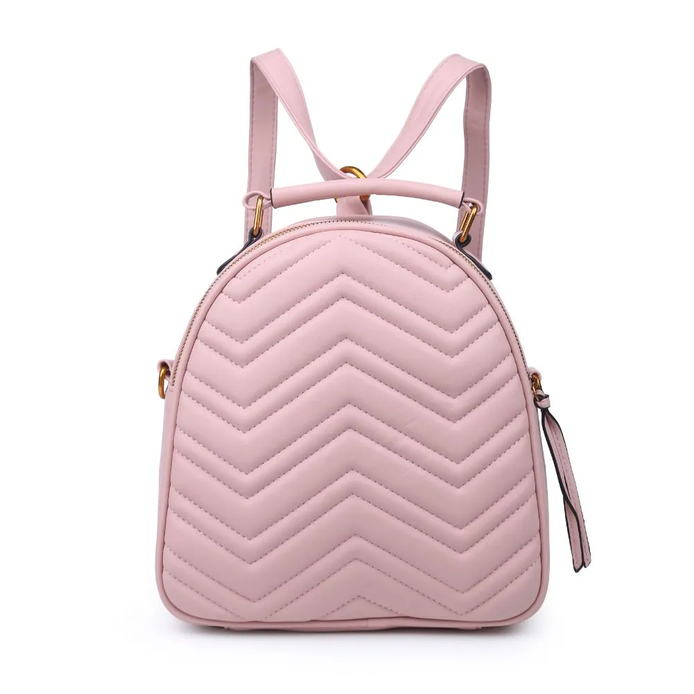Cameron V Stitch Single Zip Backpack