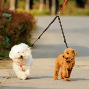 COUPLER Double Twin Lead Leash
