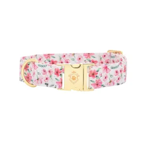 Daisy Collar