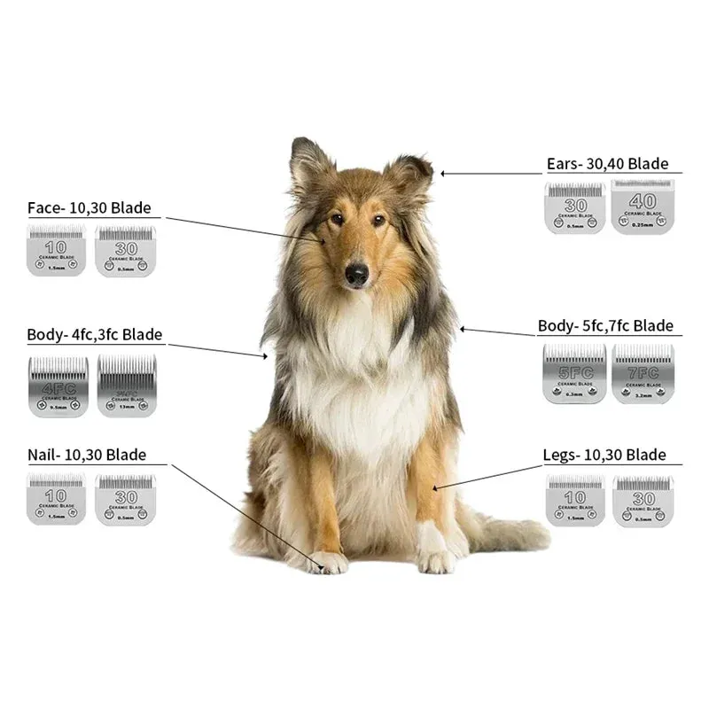 Detachable Ceramic Blade for Pro Pet Grooming Clippers