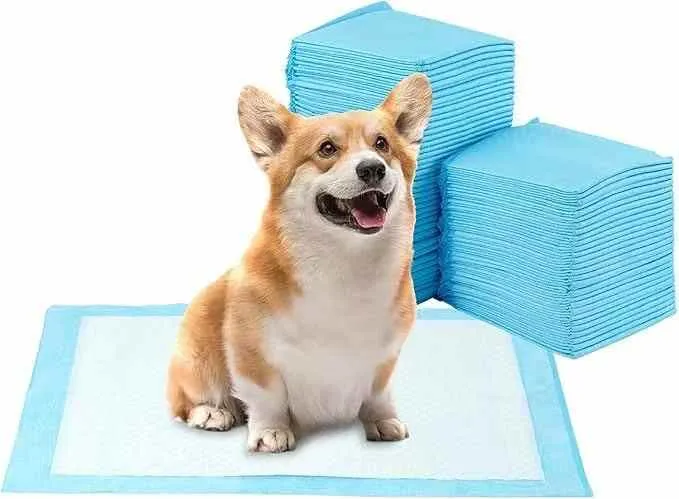 Factory Direct Price Pet Diapers Dogs Cats-حفاضات الحيوانات