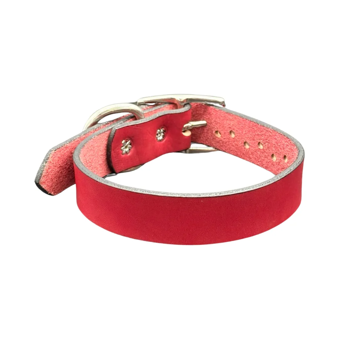 Hand Dyed Dog Collar
