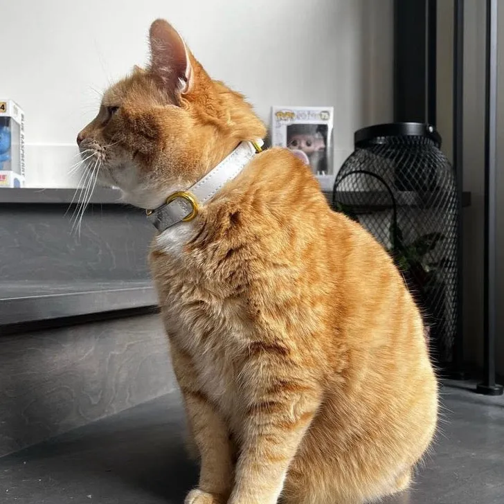 Marble Yellow Gold Collar