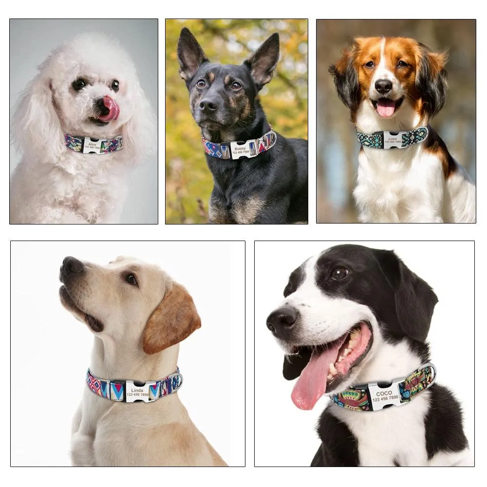Personalized Nylon Tag Collar