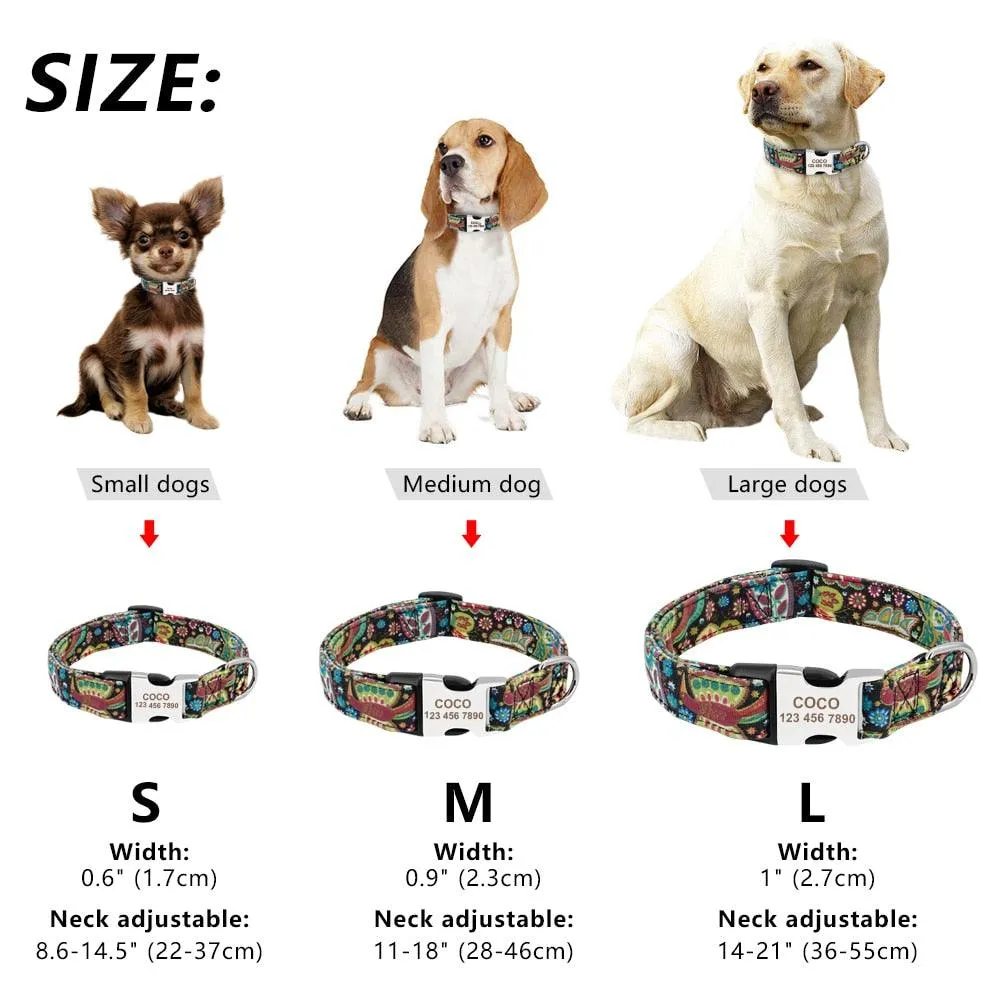 Personalized Nylon Tag Collar
