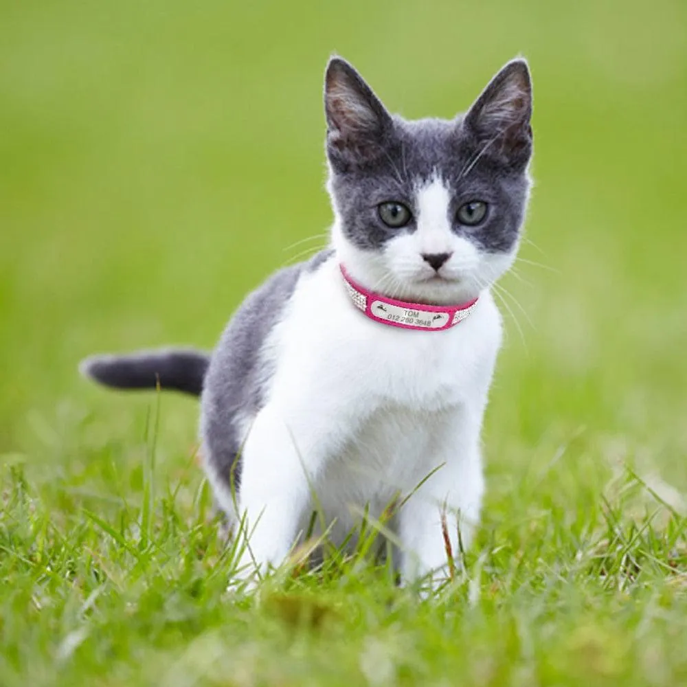 Pet Personalized Leather Collar