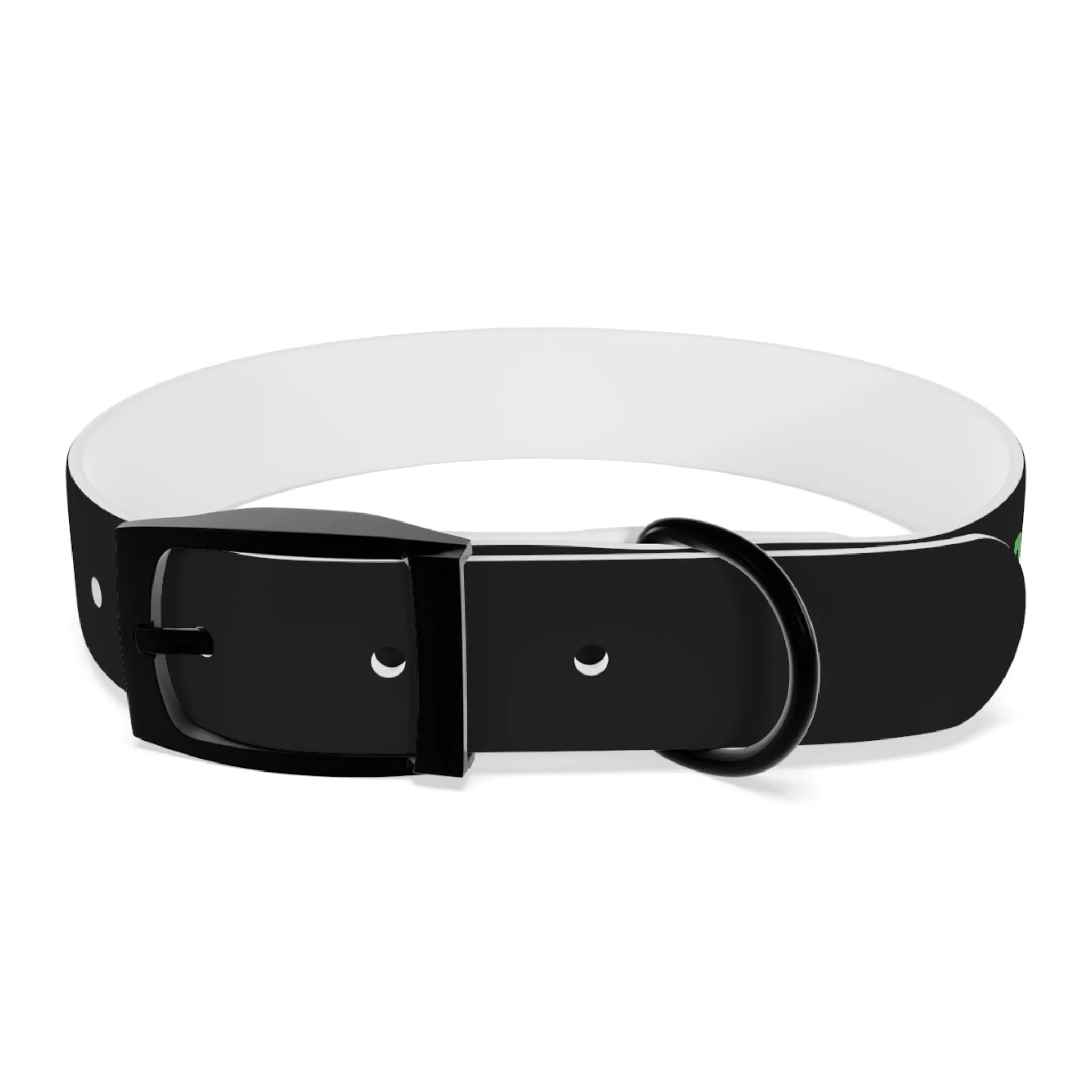 Severe Outlook Dog Collar