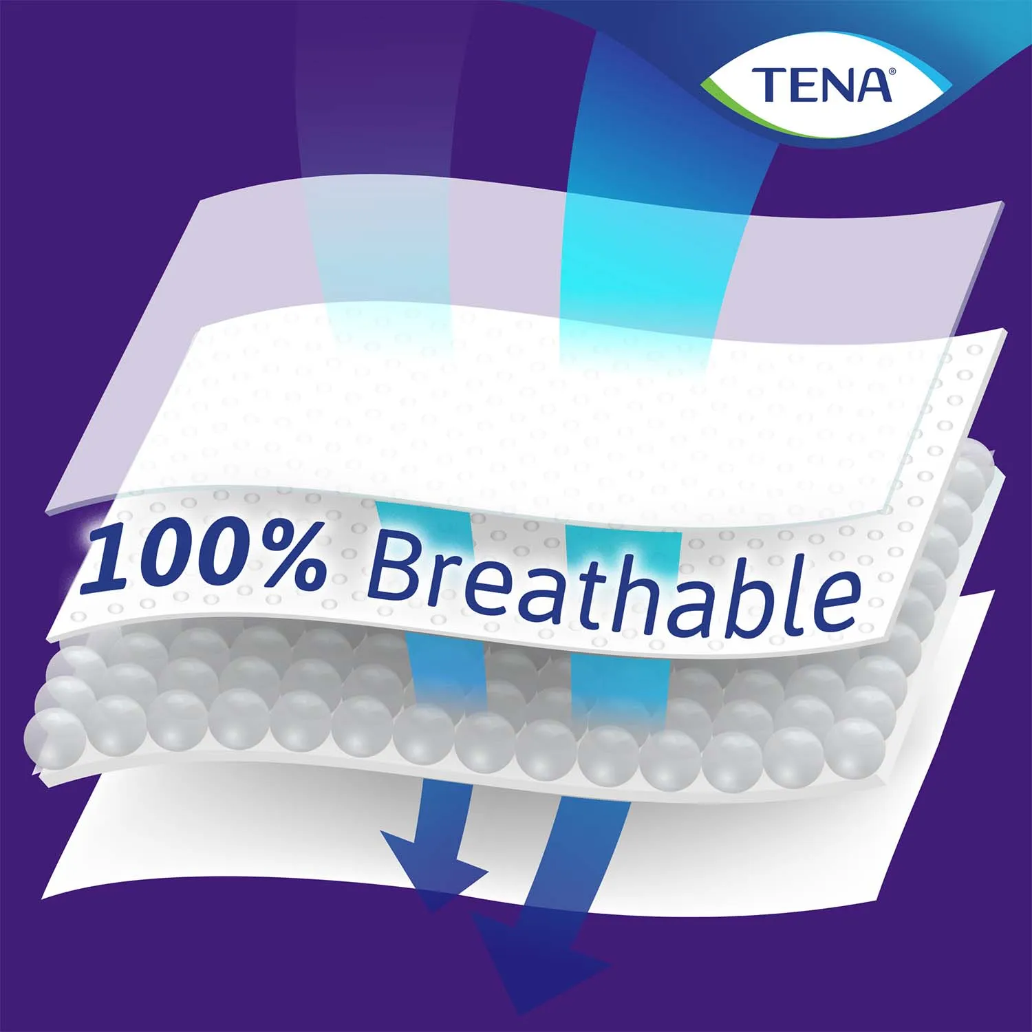 TENA Intimates Overnight Bladder Leakage Pad for Women 16", Heavy Absorbency