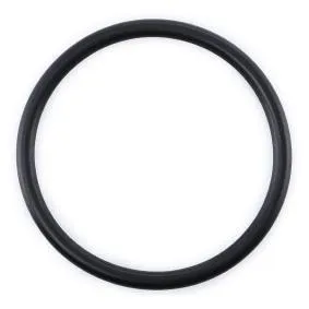 Thermostat O-Ring T3