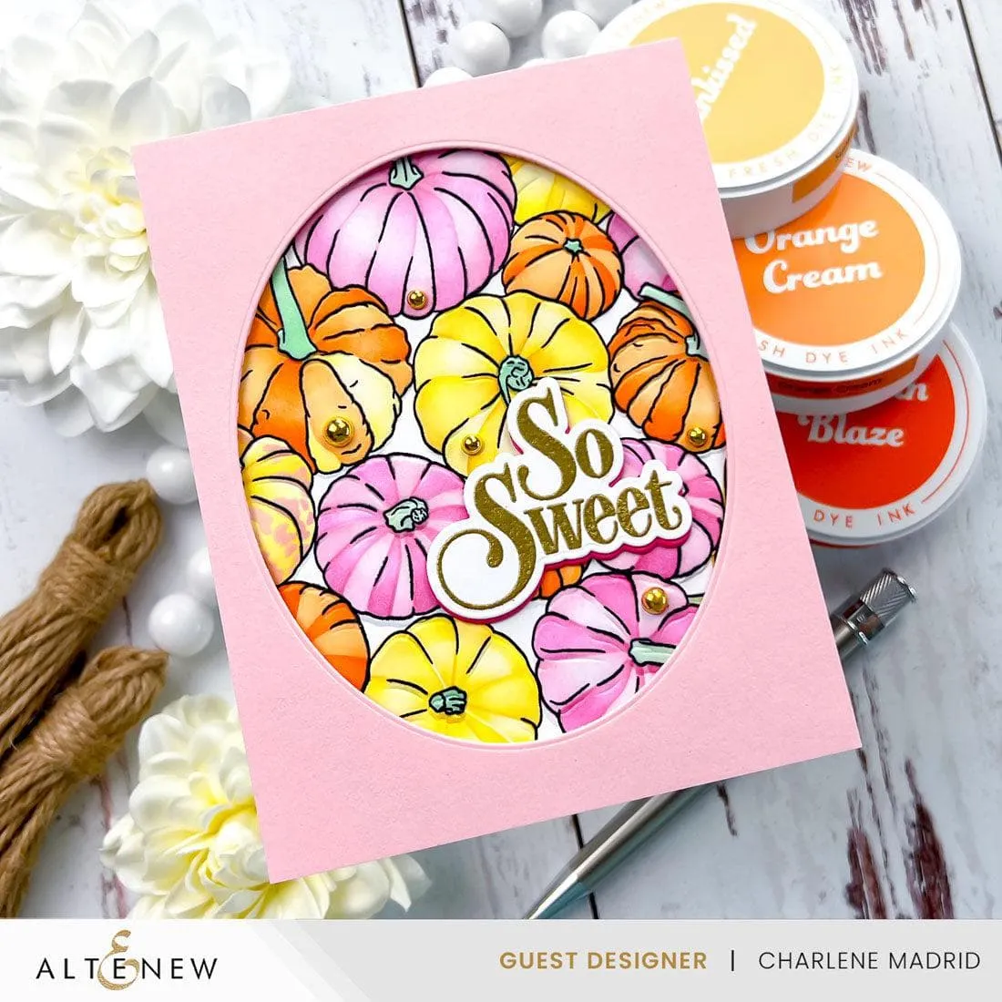 Warm & Cozy Fresh Dye Ink Mini Cube & Reinker Bundle