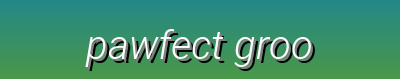 Pawfect Grooming – Anti-Shed Brushes, Detangling Combs, Dental Chews & Paw Balms